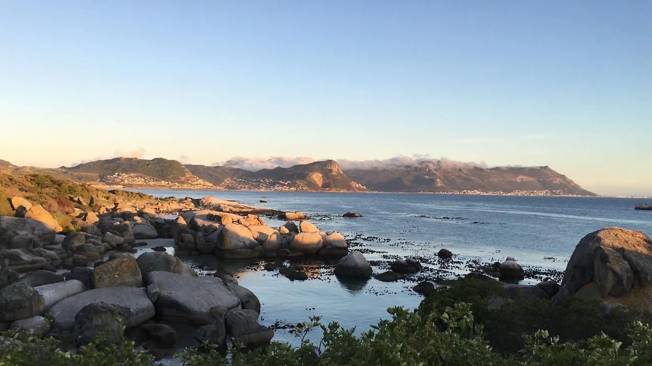Bosky Dell On Boulders Beach Simon's Town