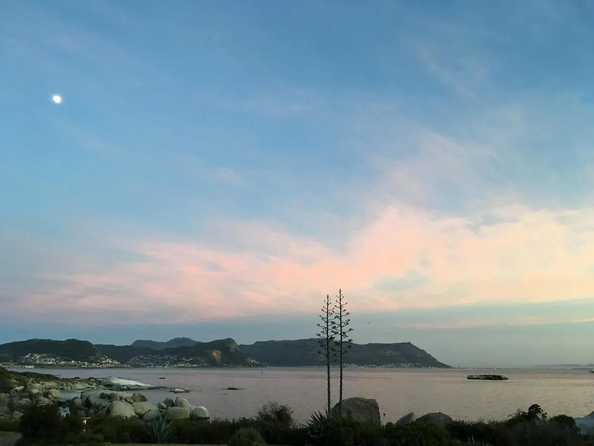 Bosky Dell On Boulders Beach Simon's Town South Africa