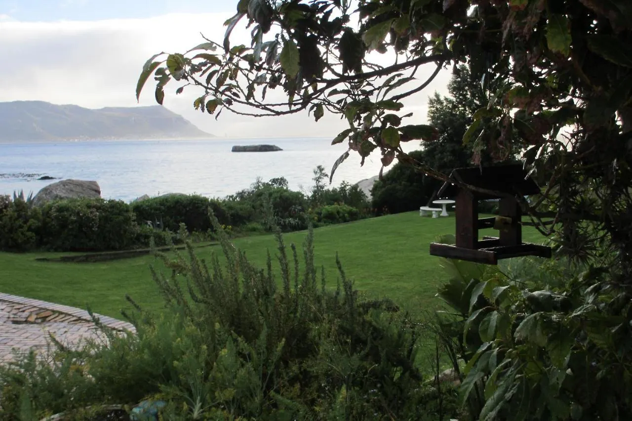 Lodge Bosky Dell On Boulders Beach Simon's Town South Africa