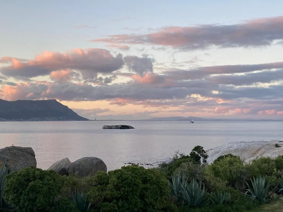 Bosky Dell On Boulders Beach Simon's Town Lodge