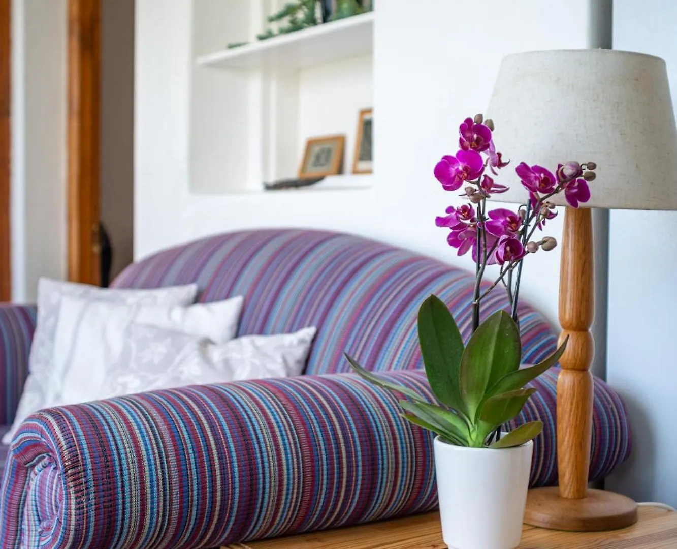 Lodge Bosky Dell On Boulders Beach Simon's Town South Africa