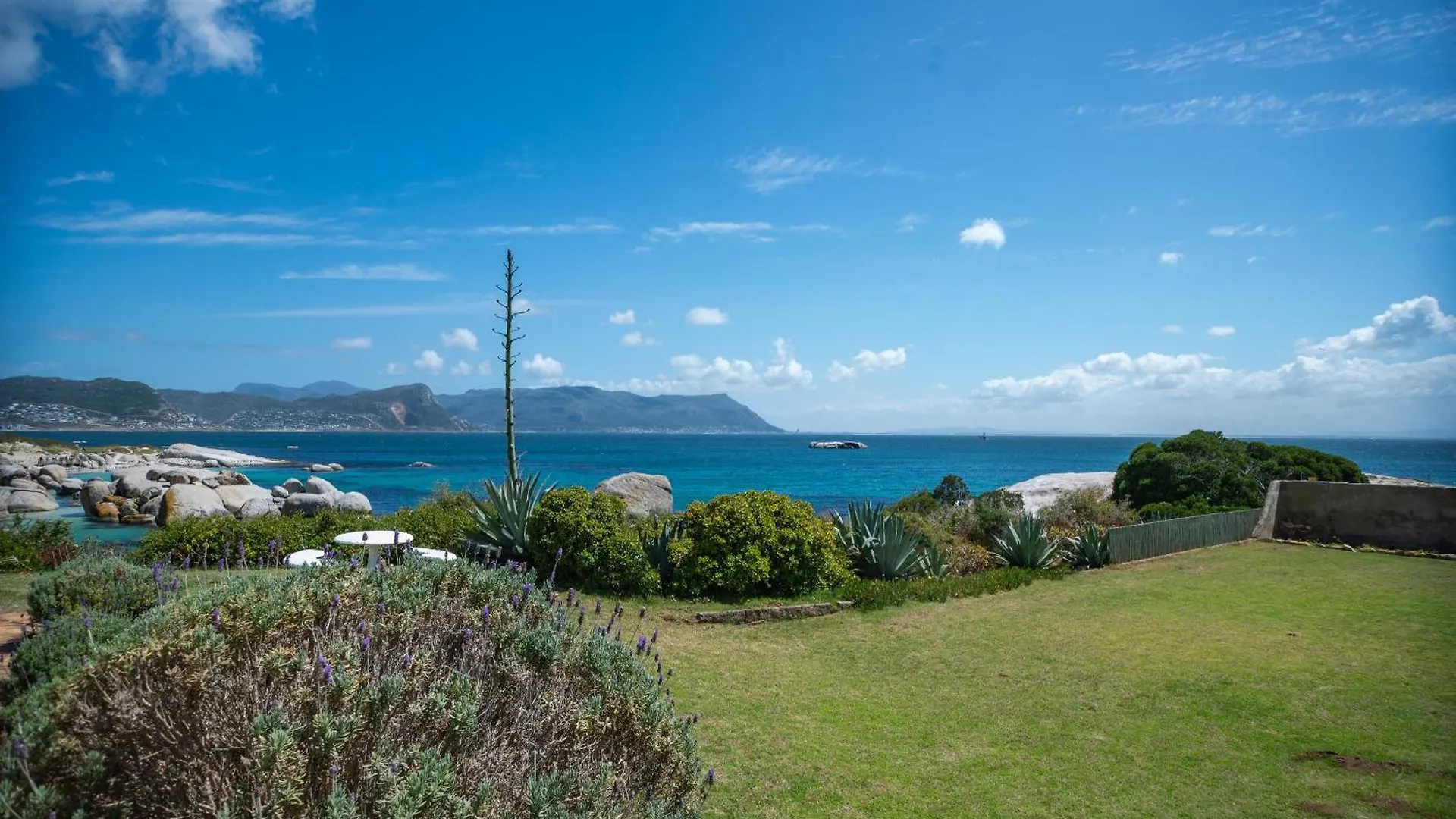 Bosky Dell On Boulders Beach Simon's Town South Africa