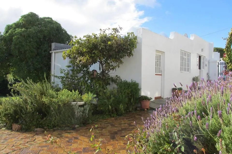 Bosky Dell On Boulders Beach Simon's Town