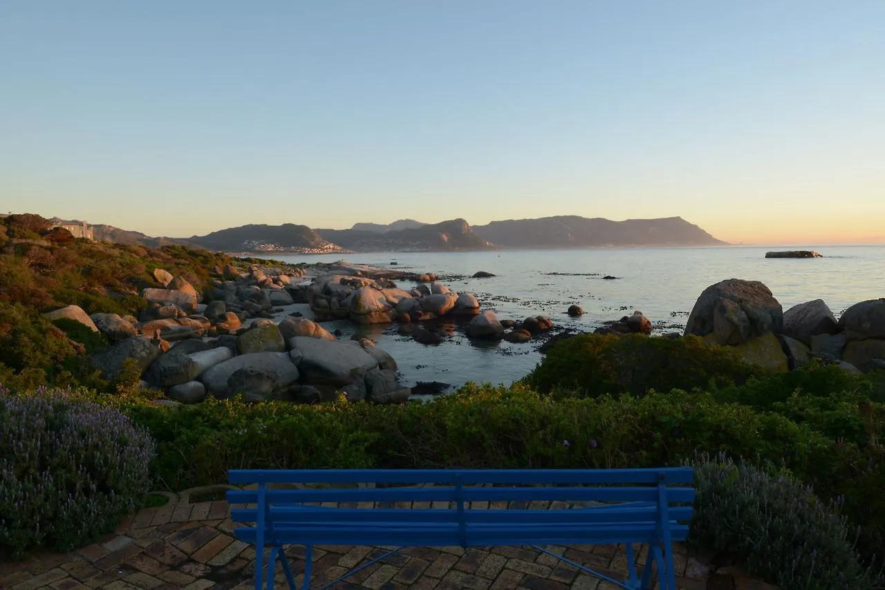 Bosky Dell On Boulders Beach Simon's Town South Africa