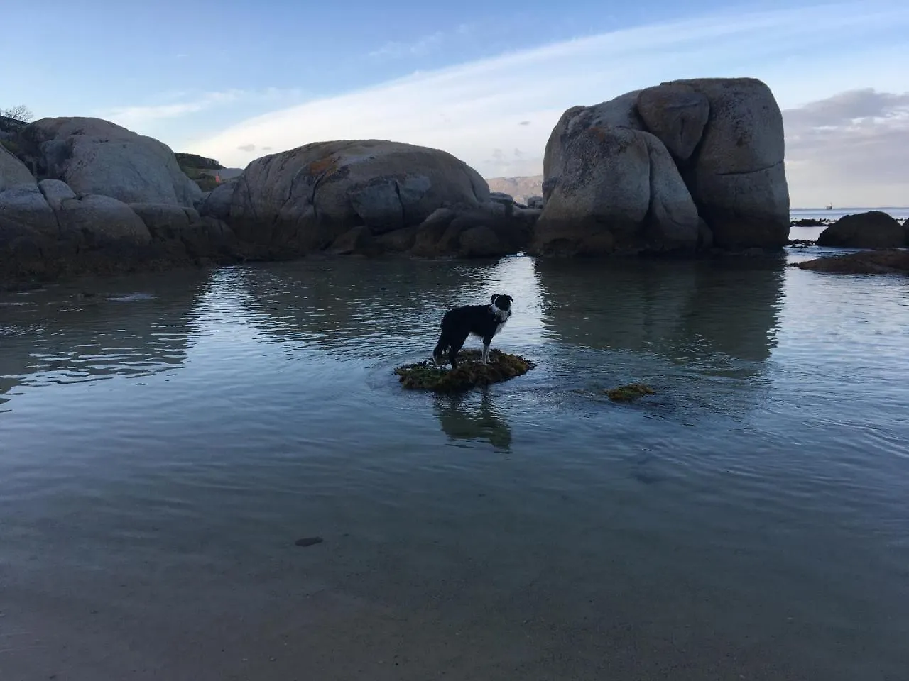 Lodge Bosky Dell On Boulders Beach Simon's Town